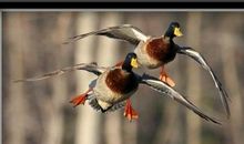 给生命留点空隙