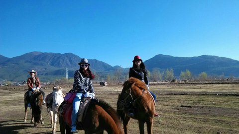 在茶马古道上旅行