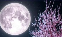 呵护群星的月亮