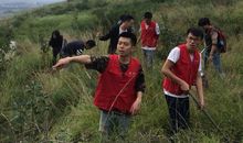 植树造林，从我们做起