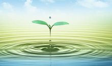 水是生命的源泉