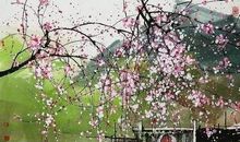 一株小草给我的勇气