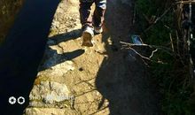 留一点思念给自己