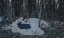 一只鸭子的悲惨命运