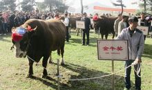 我们班的牛人牛事