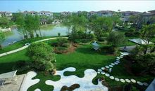 我的“绿色生态”