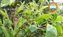 九峰山伴随我成长