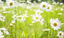 有一种东西叫岁月