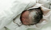 我拼命发芽你却白了头发