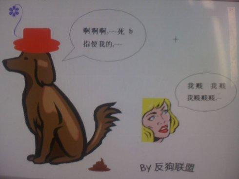 我是中国人的代表