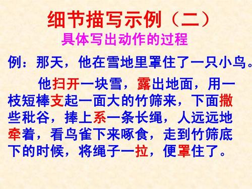 感动了我的半个命题构图600字