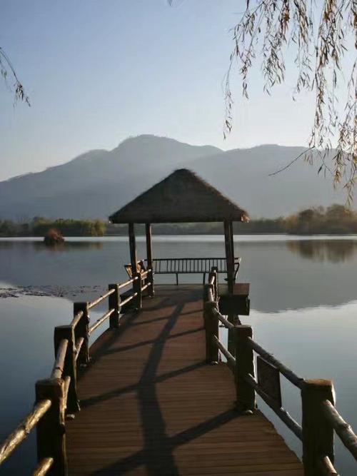 我眼中的琼海湿地