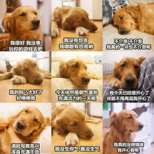 我很好