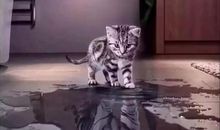 原来我可以这样强大