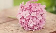 有一种温暖来自于自身