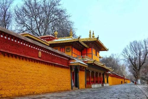 希望我们能再见到你