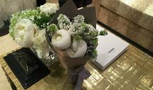 难以抗拒的世界杯