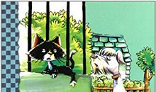 雨街的猫读后感