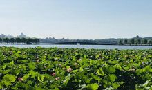 我爱西湖的四季