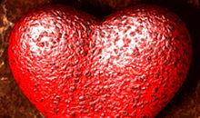 我发现母鸡死后心脏仍然跳动的秘密