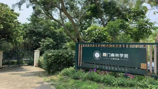 这留下了我成长的足迹