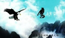 独面风雨才是雄鹰