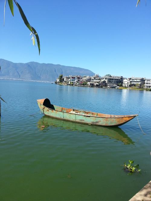 路很长，我会前进