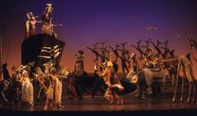 我多想变成四季