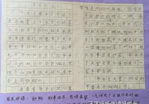 是什么让我爱上了中国作文