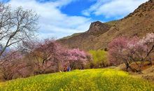 刚中带柔的温暖