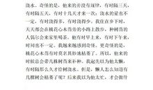 湘行散记读后感600字