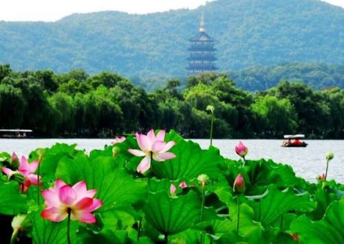 西湖美景