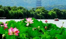 西湖的美景