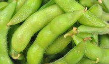 我家的“毛豆”