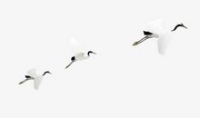 将飞翔进行到底