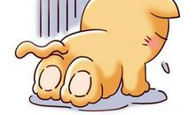 未来不会让我们跪地求饶