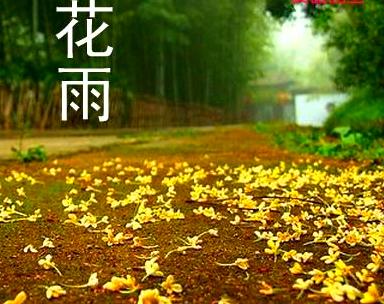 校园欣赏