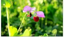 聆听身边的美好