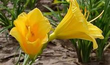 我和秋姑娘有个约会