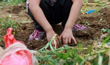 我是开心“小农夫”