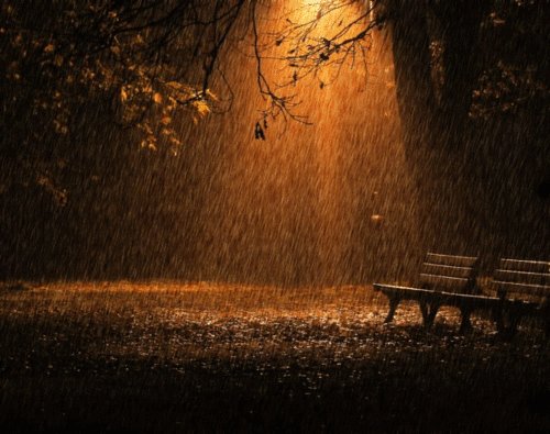 在雨中闲逛