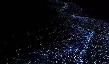 我发现朋友之间的美