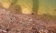 向书屋更深处漫溯