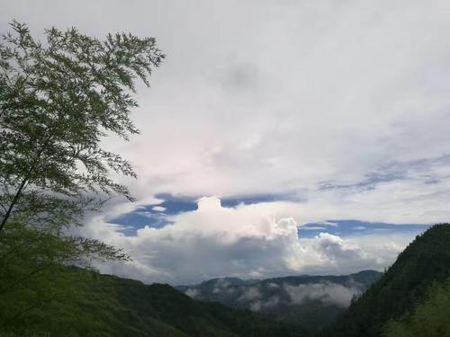 站在山腰上看世界