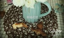 开在感恩的花成长的路上