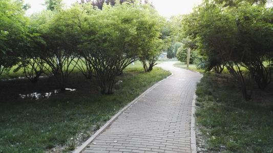 春季龙海公园