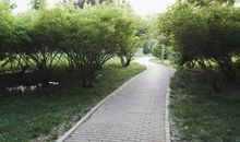 春天的龙海公园