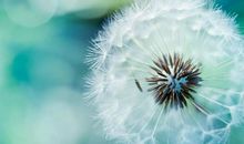 读《教养的证据》有感