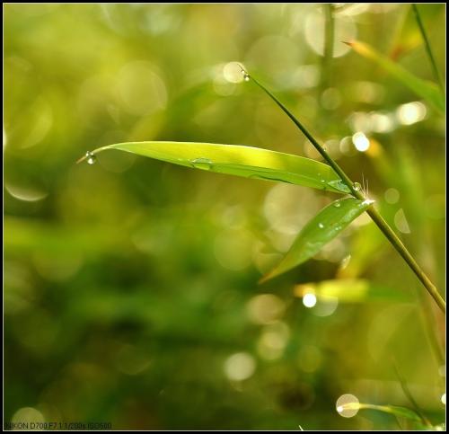 雨后晴
