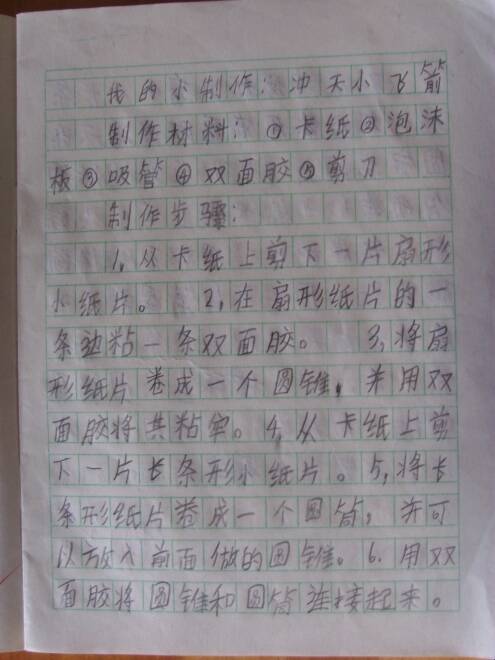 我和小动物的故事作文